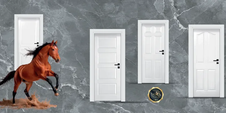 Amerikan panel oda kapısı